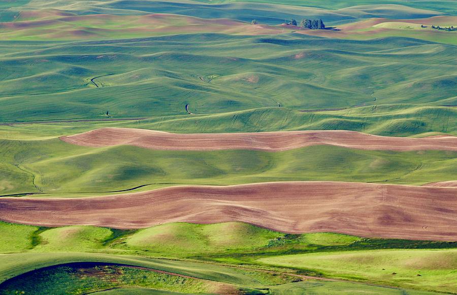 The Palouse Photograph by Marianne Werner - Fine Art America