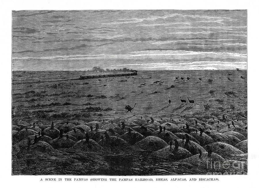 The Pampas Railroad, South American Drawing by Print Collector