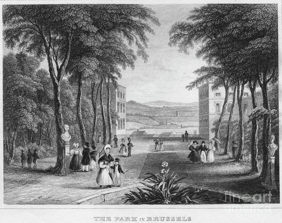 The Park In Brussels, 1850 Drawing by Print Collector