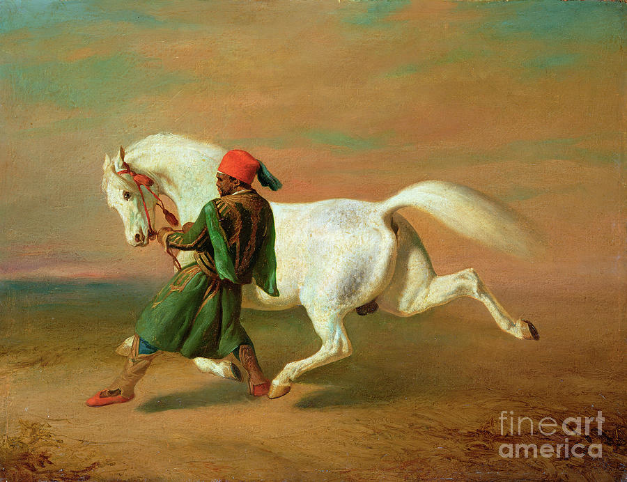 Groom Painting - The Pashas Pride by Alfred Dedreux Or De Dreux