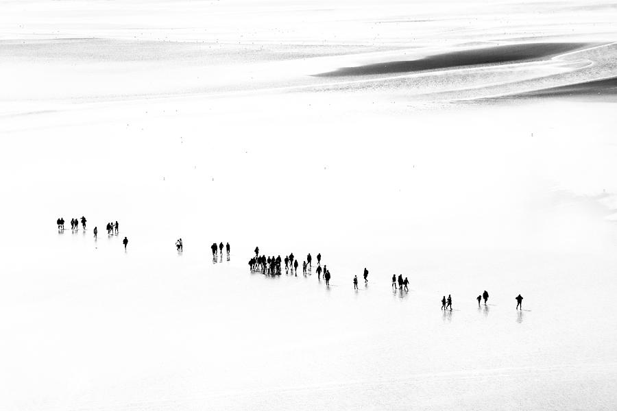 The Passengers Of The Bay Photograph by Benjamine Hullot Scalvenzi