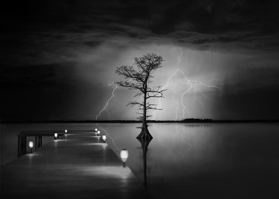 Tree Photograph - The Passing Storm by Jay Wang
