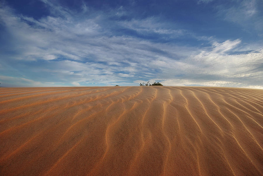 The Patern Of Sand Dunes Photograph by Photo By Sayid Budhi