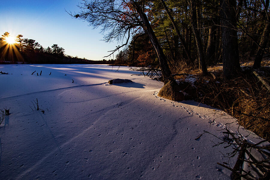Winter Photograph - Light the Way by Neal Nealis