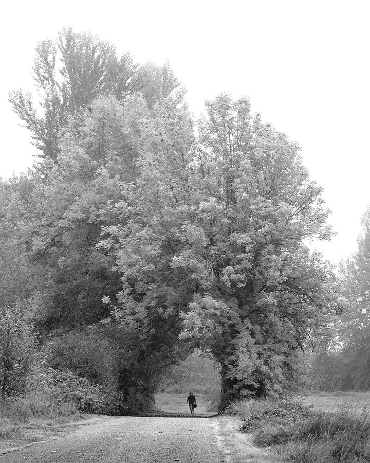 Tree Photograph - The Path Taken by Iina Van Lawick