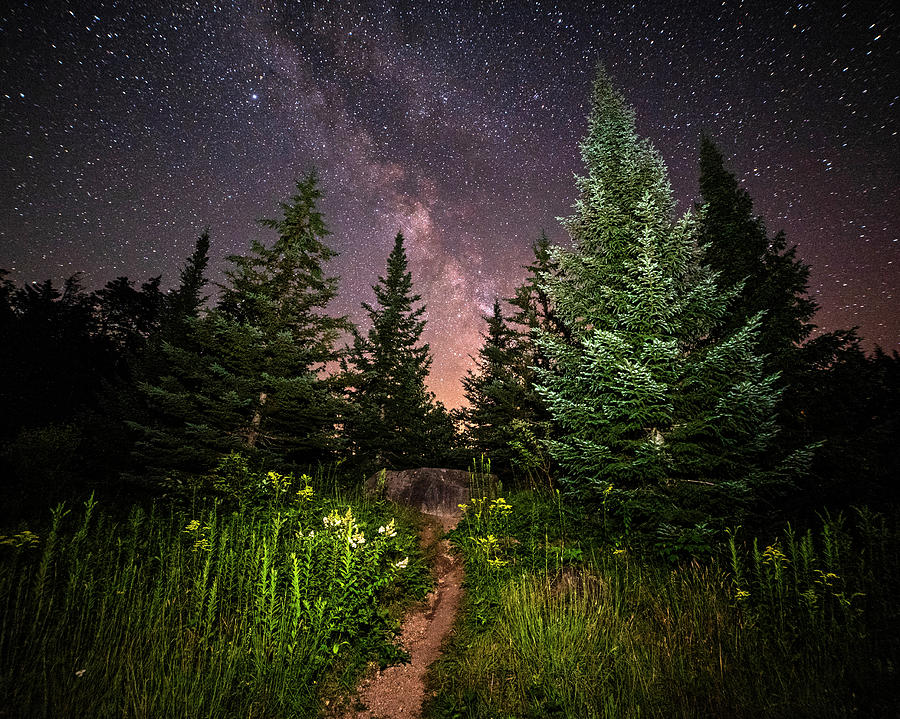 The path to the Milky Way in Albany New Hampshire Photograph by Toby McGuire