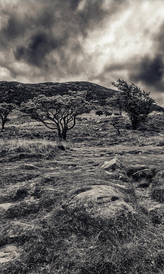 The Path Up Slemish by Alan Campbell The Path Up Slemish by Alan Campbell