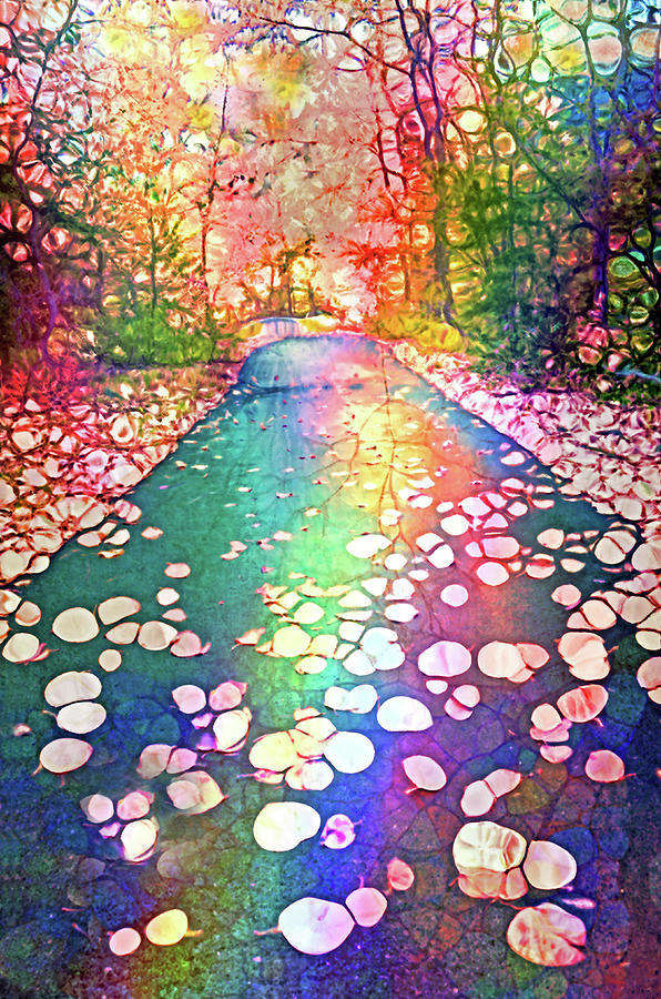 Forest Digital Art - The Path Where Rainbows Meet by Tara Turner Forest Digital Art - The Path Where Rainbows Meet by Tara Turner