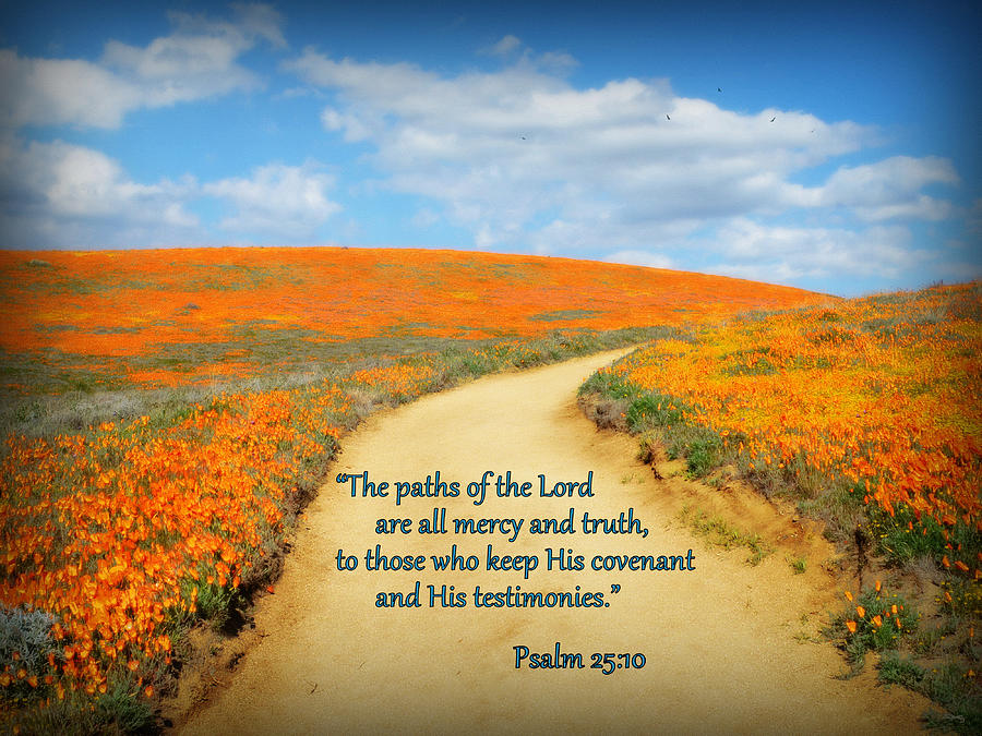 The Paths Of The Lord Photograph
