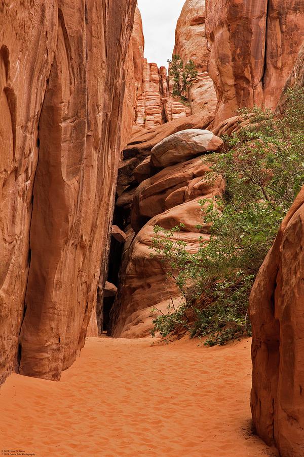 The Pathway To Sand Dune Arch - 3 Photograph by Hany J