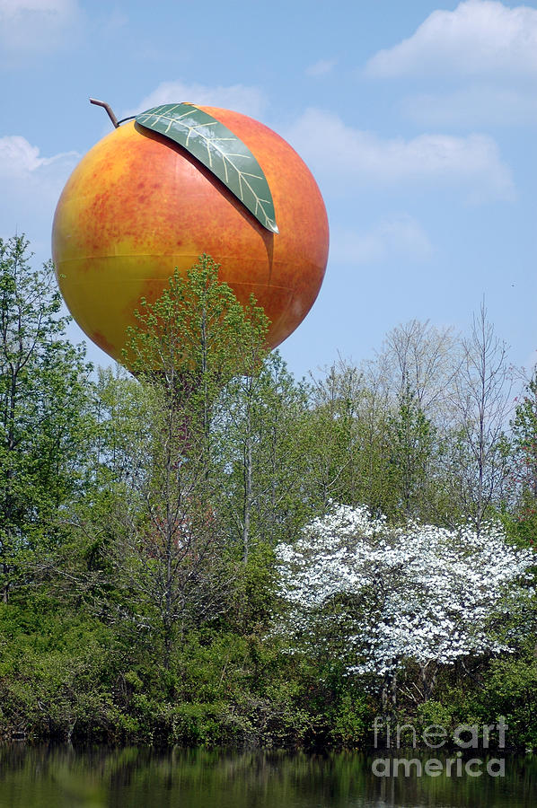 The Peachoid Photograph by Rodger Painter