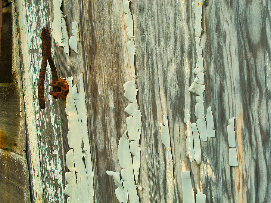 The Peeling Wall Photograph by Tom Gresham
