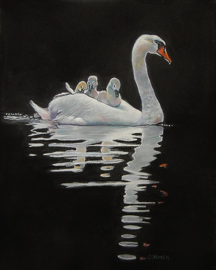 The Pen and The Cygnets Drawing by Jean Cormier