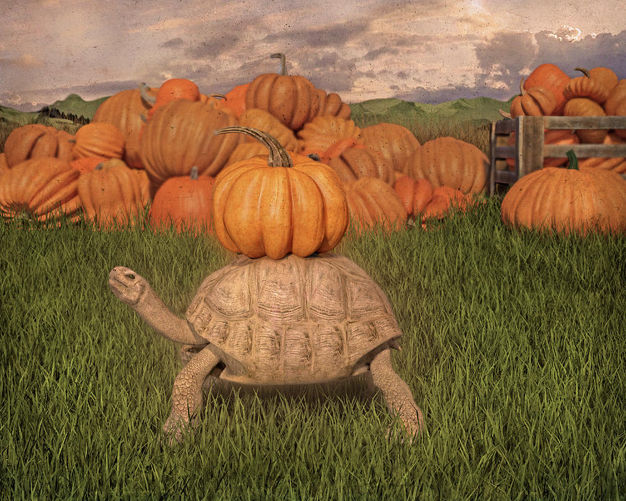 The Perfect Pumpkin Digital Art