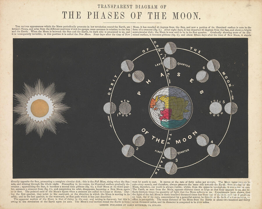 The Phases Of The Moon, 1846 60 Engraving Drawing by James Reynolds
