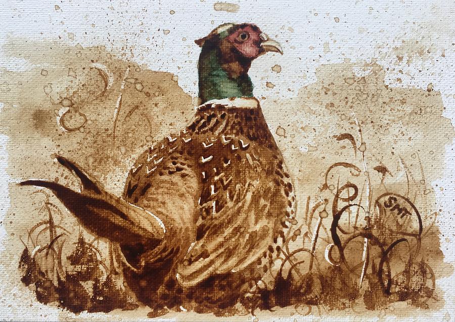The Pheasant  Painting by Sheila Tysdal