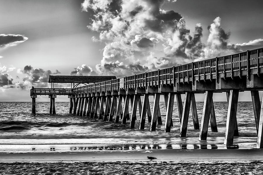 The Pier in Monochrome Photograph by Ray Silva