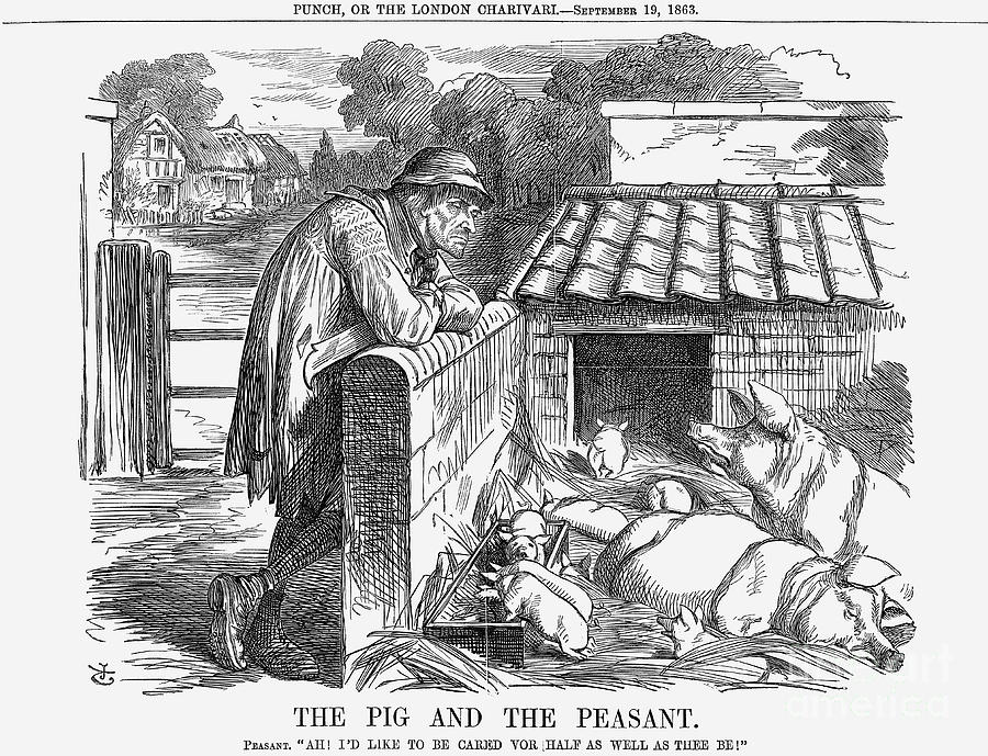 The Pig And The Peasant, 1863. Artist Drawing by Print Collector