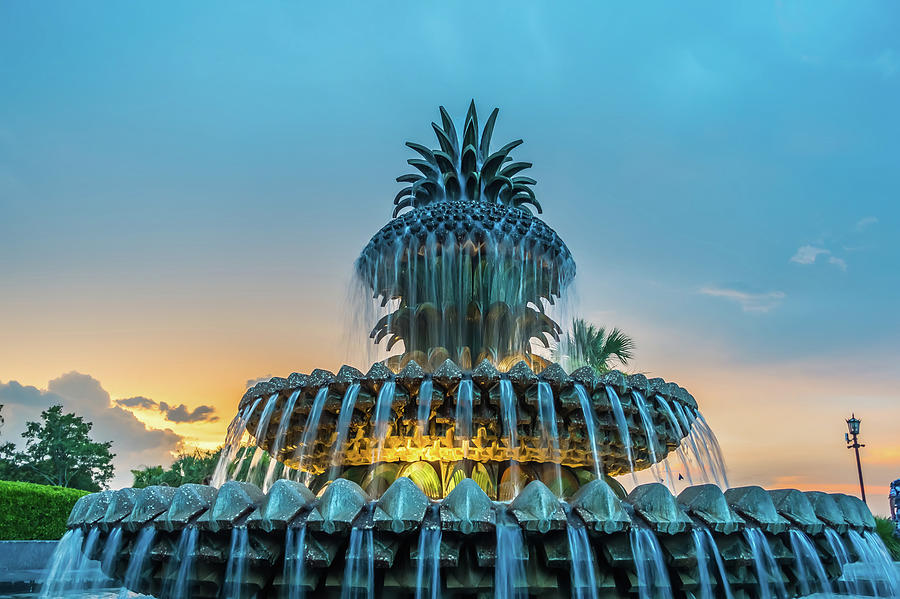 The Pineapple Fountain, at the Waterfront Park in Charleston Photograph by Alex Grichenko