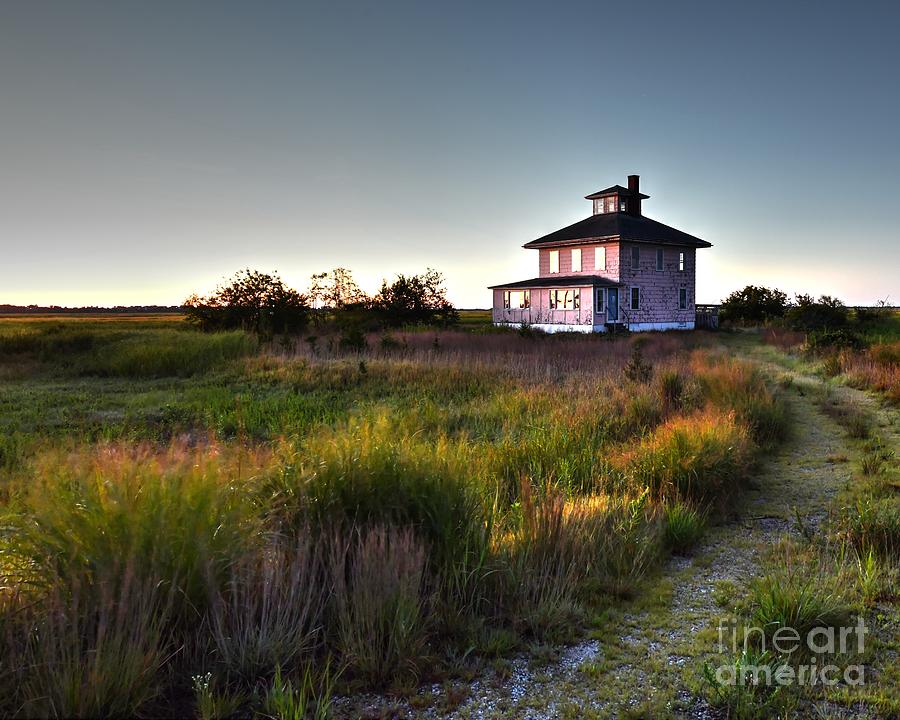 The Pink House Photograph by Steve Brown