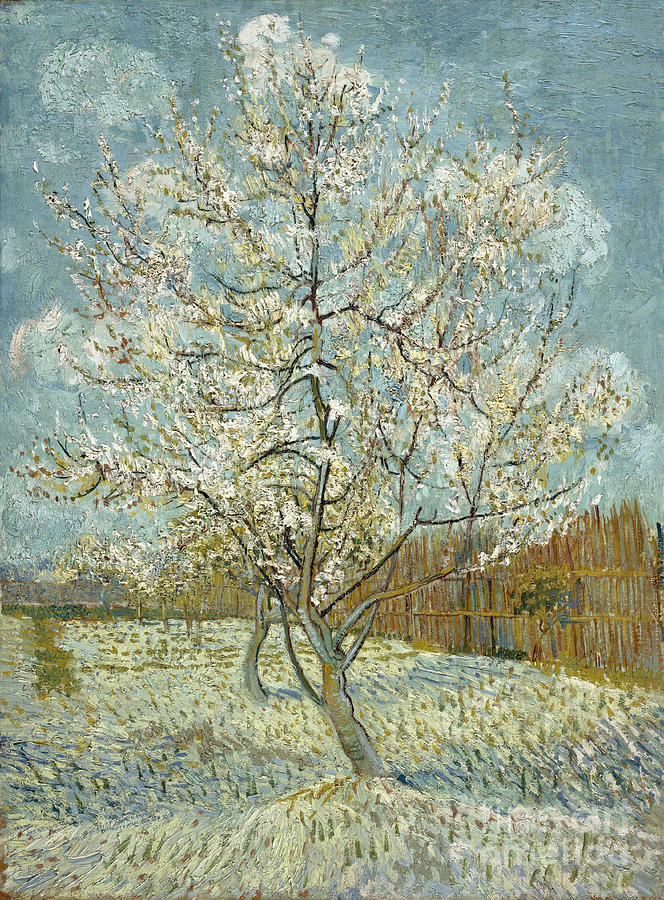 The Pink Peach Tree, 1888. Artist Gogh Drawing by Heritage Images