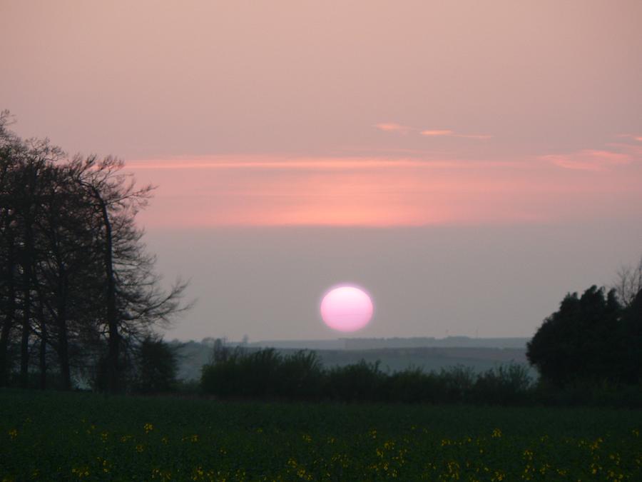 The Pink Sun Rising Photograph by Lynne Iddon Pixels