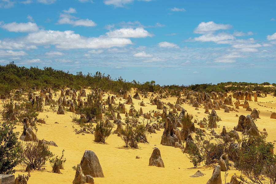 Desert Photograph - The Pinnacles Desert in Western Australia at the Indian Ocean by MXW Photo