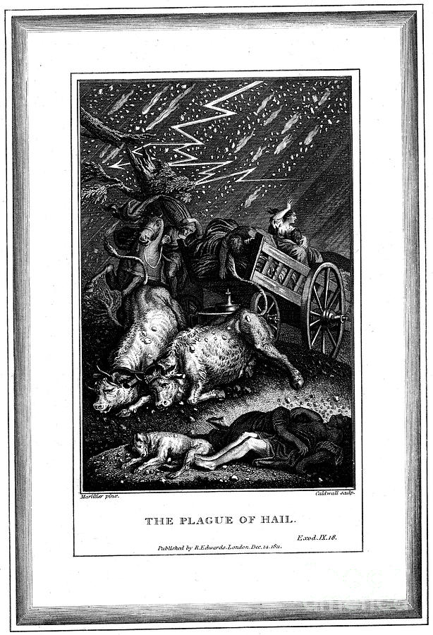 The Plague Of Rain And Hail, One Drawing by Print Collector