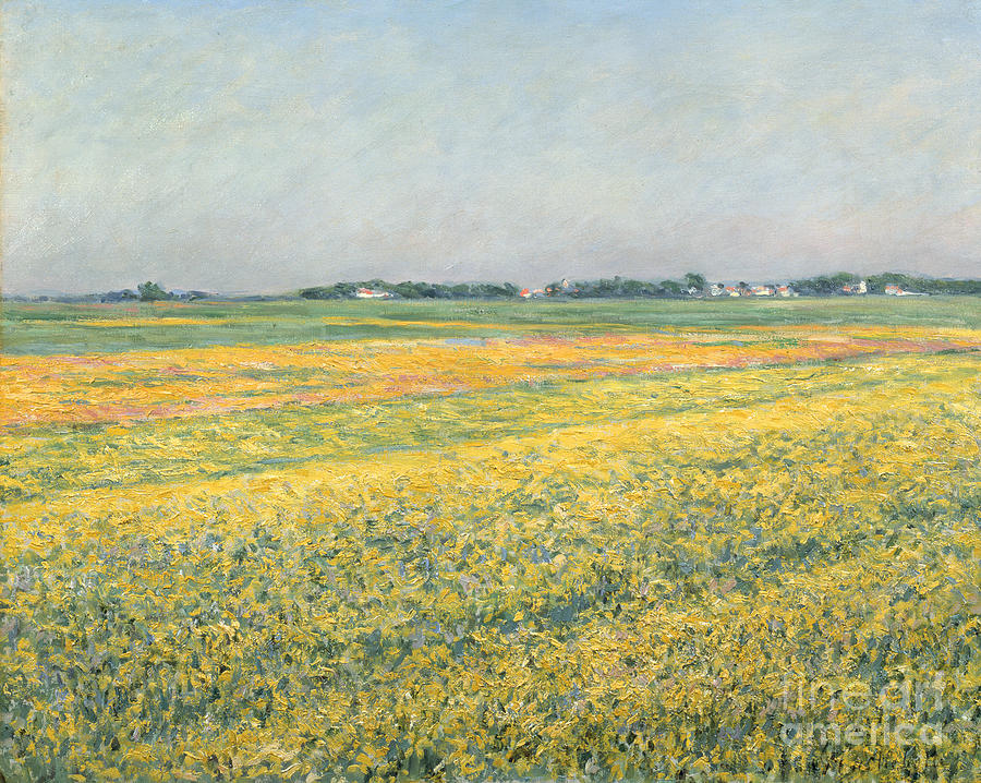 The Plain Of Gennevilliers, Yellow Fields La Plaine De Gennevilliers ...
