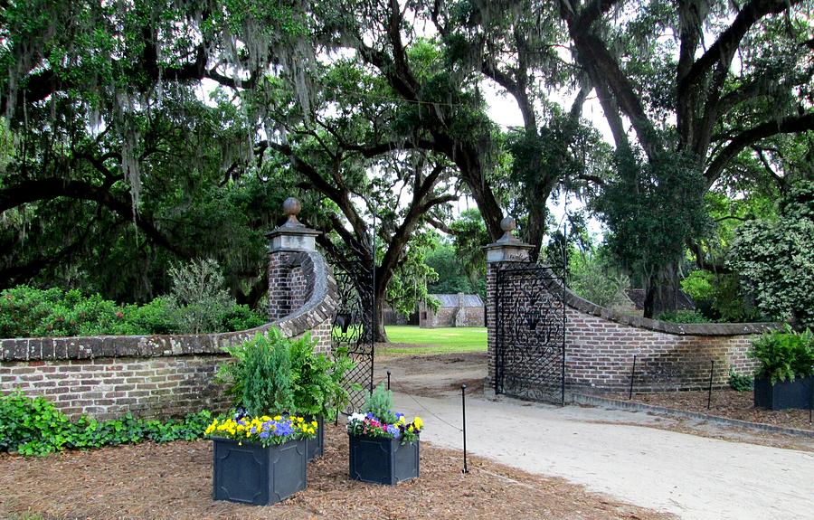 The Plantation Gate Photograph Photograph by Kimberly Walker