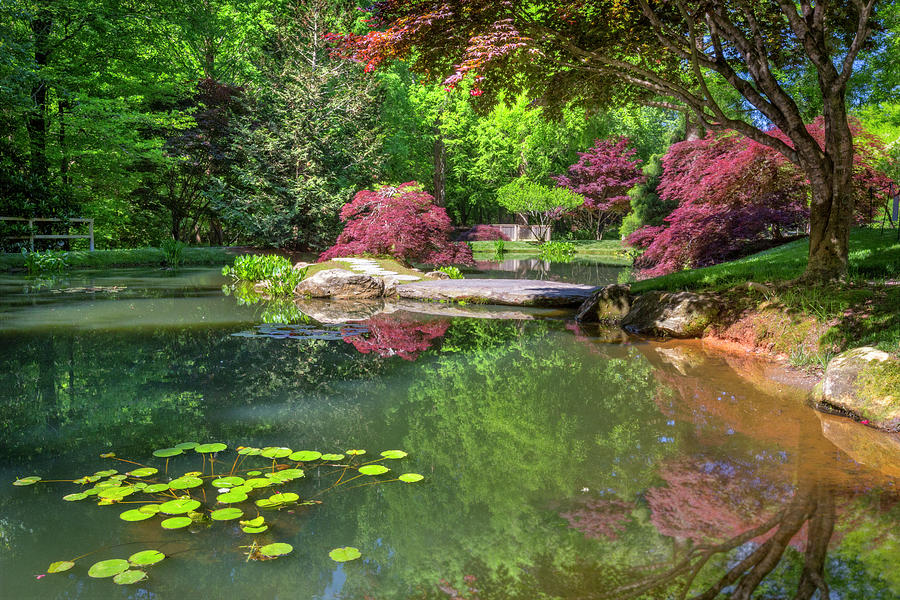 The Pond at the Garden Photograph by Debra and Dave Vanderlaan