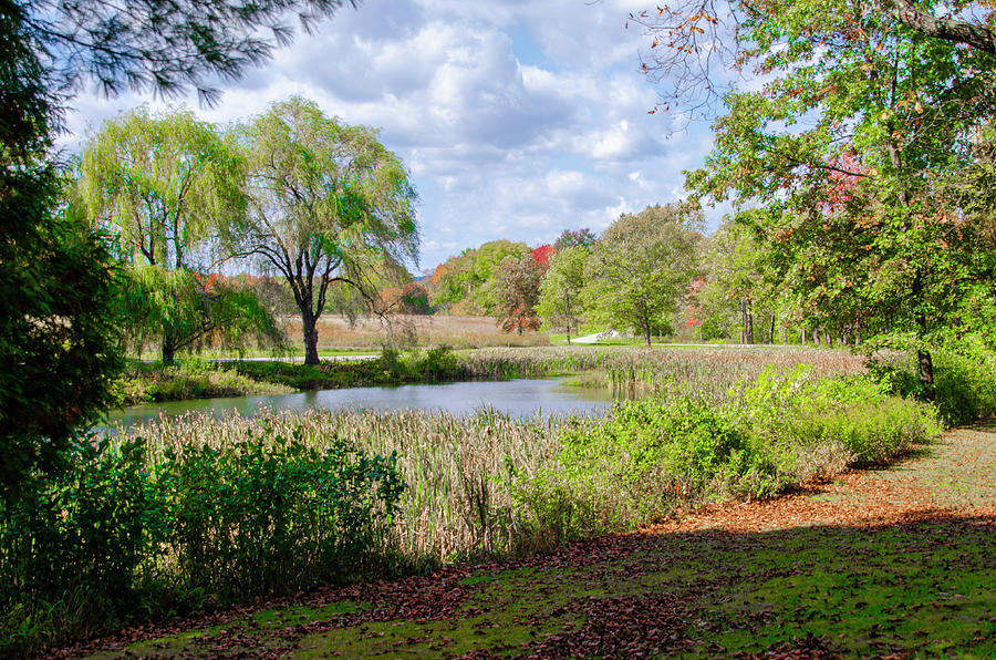 The Pond at Val-Kill - Hyde Park New York Photograph by Bill Cannon