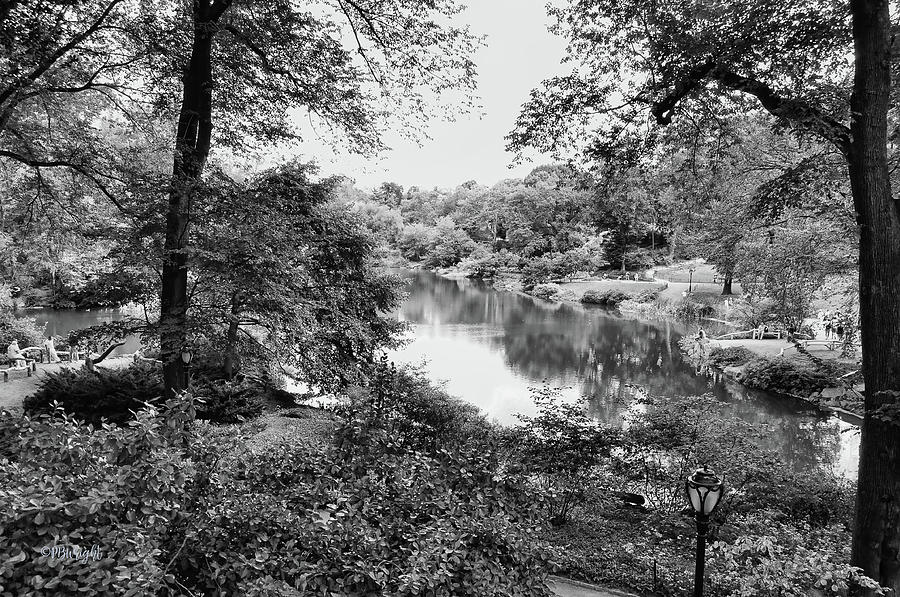 The Pond bw Photograph by Paulette B Wright