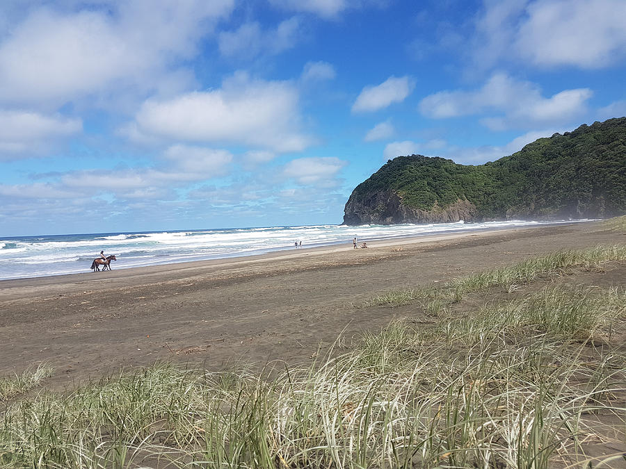 The Ponies Love The Piha Surf by Clive Littin The Ponies Love The Piha Surf by Clive Littin