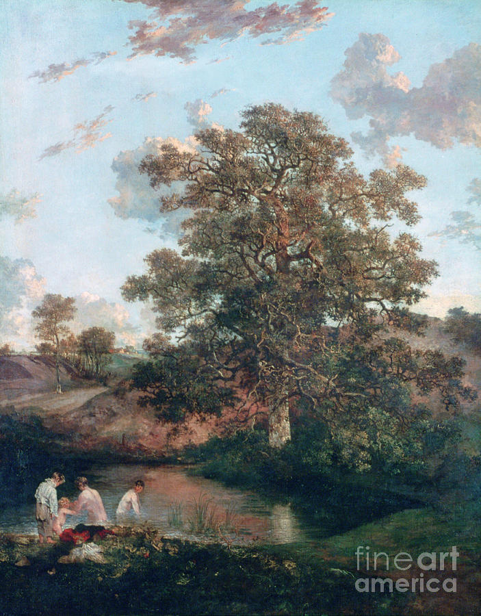 The Poringland Oak, C1818-1820. Artist Drawing by Print Collector