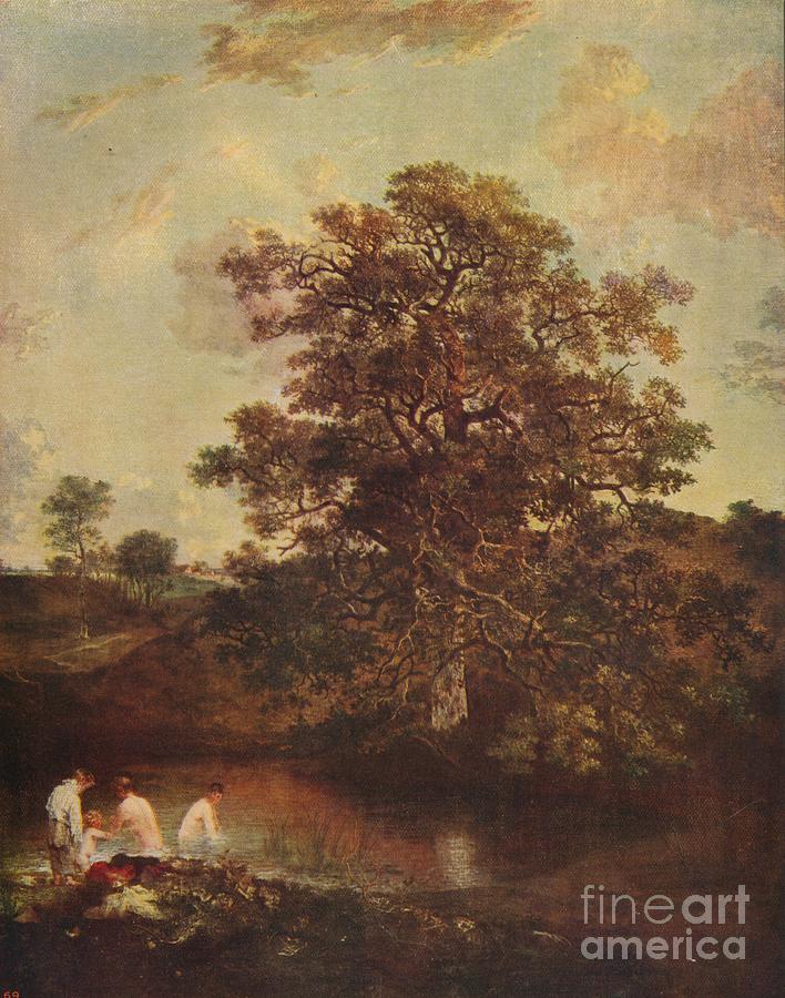 The Poringland Oak Drawing by Print Collector