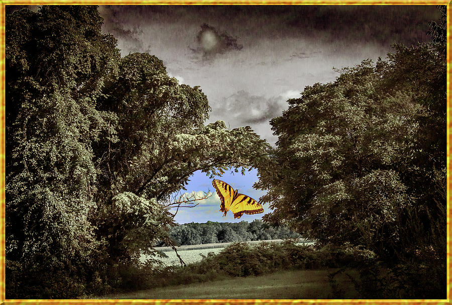 Butterfly Digital Art - The Portal by Yuri Lev