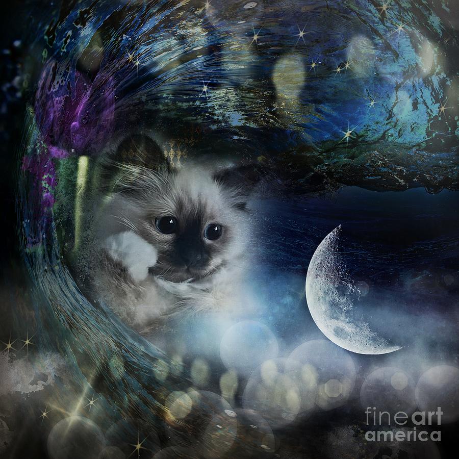 Cat Digital Art - The Power Of Imagination by Monique Hierck