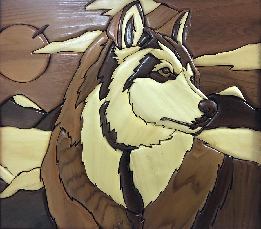 The Proud Husky Photograph by Andrea Kollo The Proud Husky Photograph by Andrea Kollo
