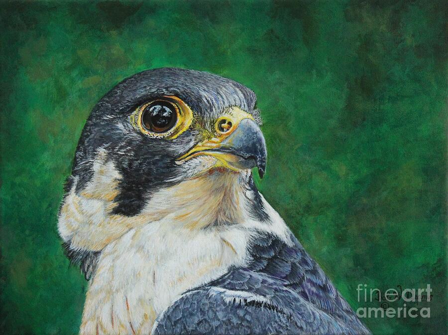 The Proud Peregrine....Fastest Creature on the planet Painting by Bob Williams