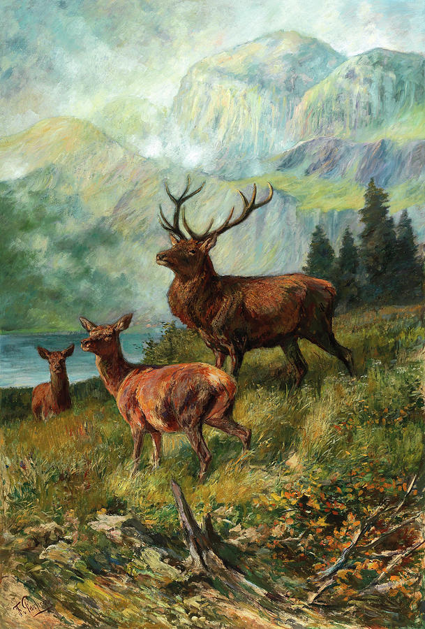 The Proud Stag Painting by Franz von Pausinger - Pixels Merch