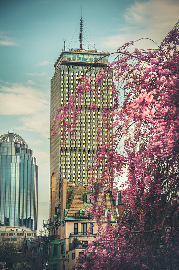 The Prudential Center and Cherry Blossoms Photograph by Joann Vitali