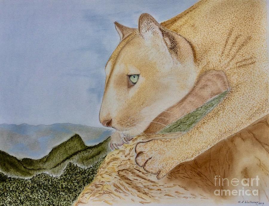 The Puma  Pastel by Natalia Wallwork