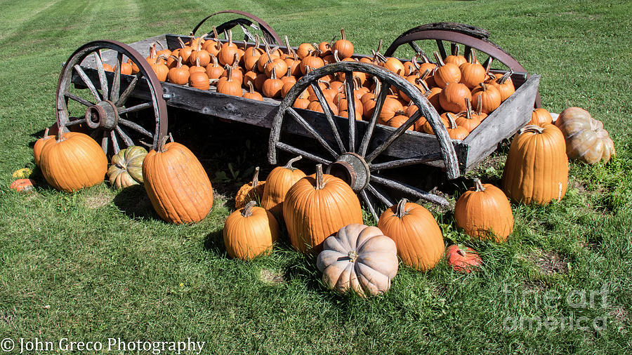 The Pumpkin Wagon Photograph by John Greco
