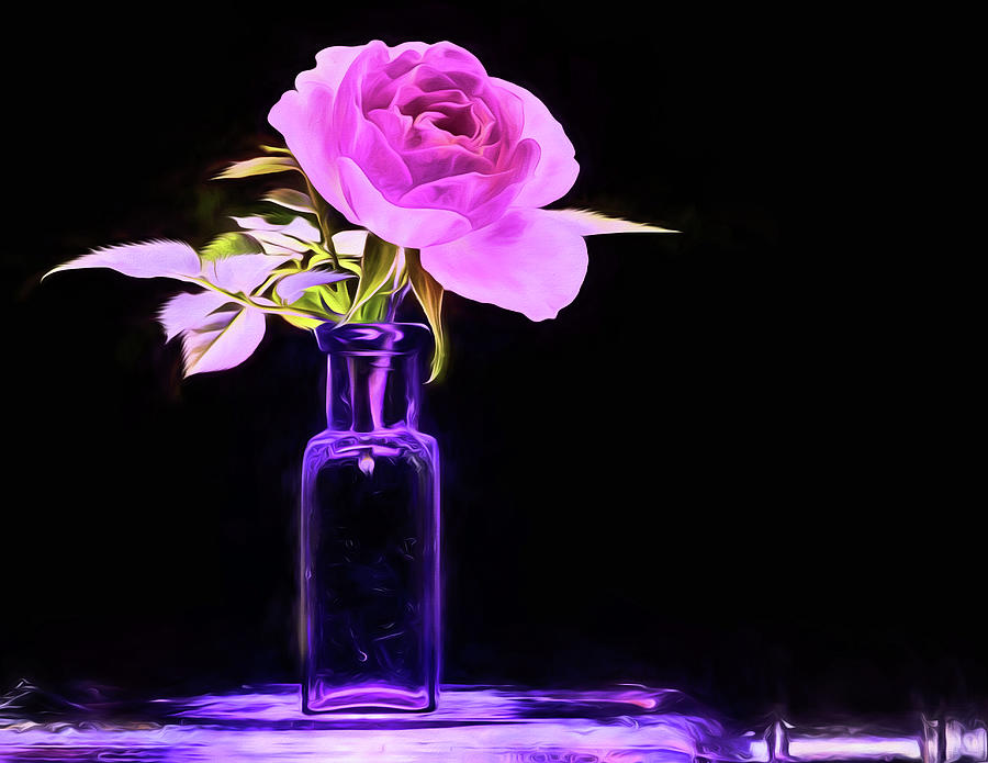 The Purple Rose Still Life Photograph by JC Findley