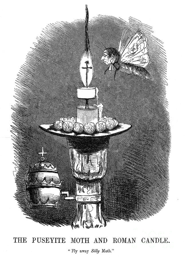 The Puseyite Moth And The Roman Candle Drawing by Print Collector