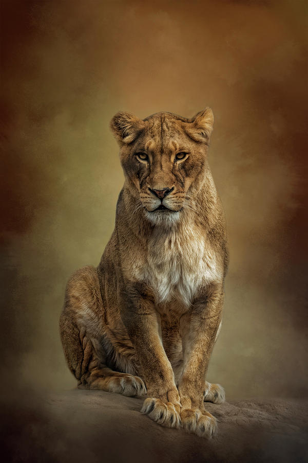 The Queen Awaits by Kelley Parker The Queen Awaits by Kelley Parker