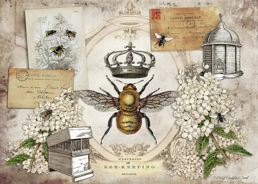 The Queen Bee Digital Art by Terry Kirkland Cook