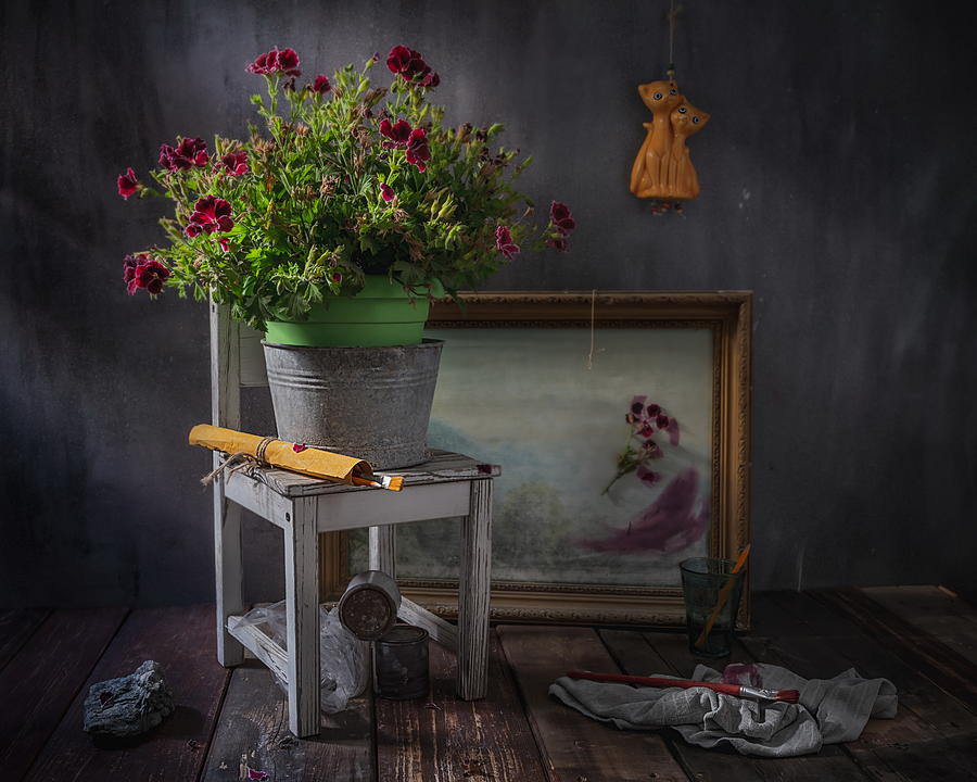 The Queen Is Retired. Still Life With Royal Pelargonium. (regal ...