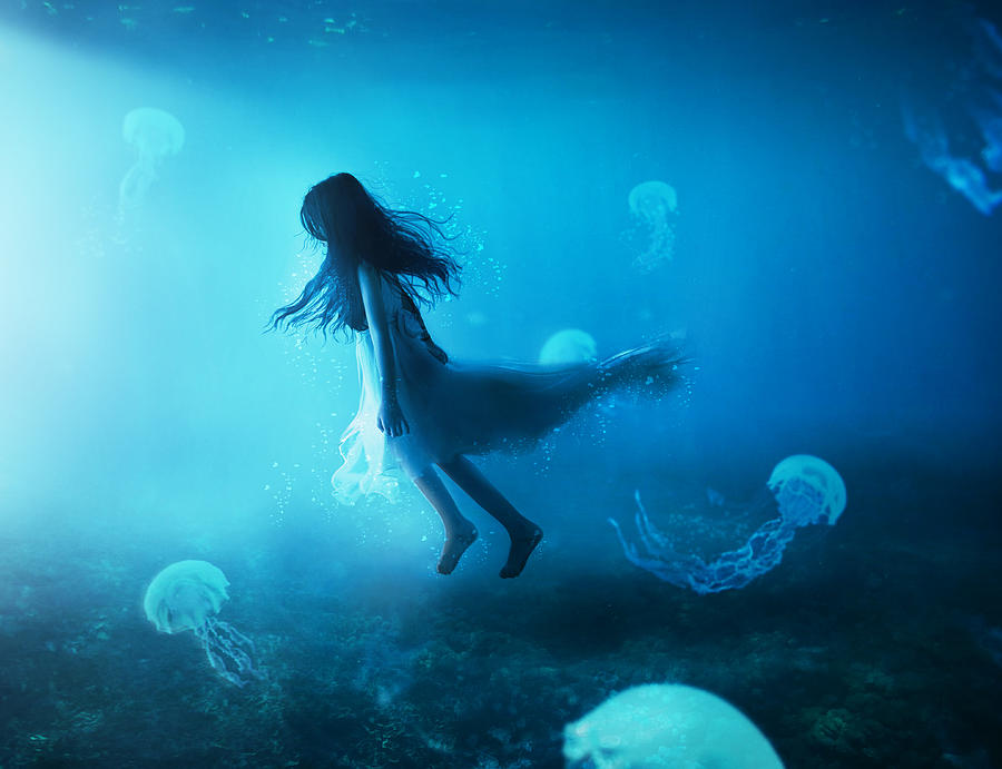 The Queen Of Undersea World Photograph by Hanina Aljufaili - Fine Art ...